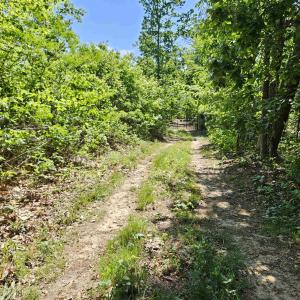 Photo #44 of TBD ANDERSONVILLE RD, DILLWYN, VA 80.0 acres