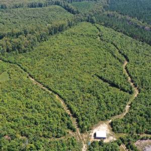 Photo #49 of TBD ANDERSONVILLE RD, DILLWYN, VA 80.0 acres