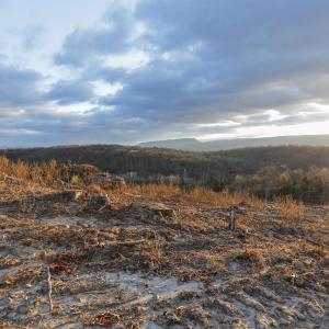 Photo #3 of TBD NEW MARKET DEPOT RD, NEW MARKET, VA 16.2 acres