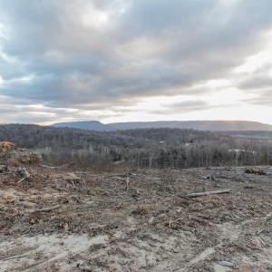 Photo #17 of TBD NEW MARKET DEPOT RD, NEW MARKET, VA 16.2 acres