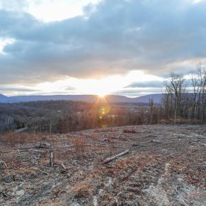 Photo #9 of TBD NEW MARKET DEPOT RD, NEW MARKET, VA 16.2 acres