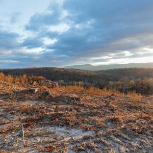 Photo #15 of TBD NEW MARKET DEPOT RD, NEW MARKET, VA 16.2 acres