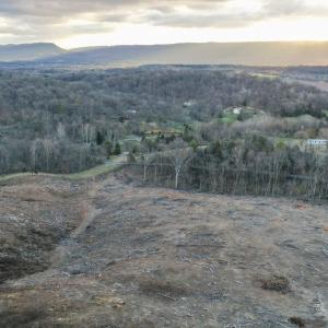 Photo #41 of TBD NEW MARKET DEPOT RD, NEW MARKET, VA 16.2 acres