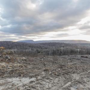 Photo #4 of TBD NEW MARKET DEPOT RD, NEW MARKET, VA 16.2 acres