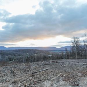 Photo #9 of TBD NEW MARKET DEPOT RD, NEW MARKET, VA 16.2 acres