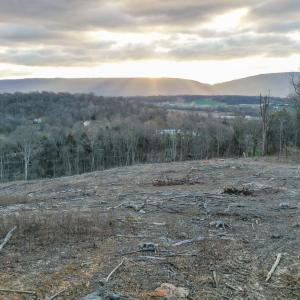 Photo #47 of TBD NEW MARKET DEPOT RD, NEW MARKET, VA 16.2 acres