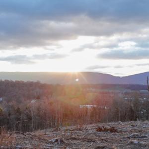 Photo #15 of TBD NEW MARKET DEPOT RD, NEW MARKET, VA 16.2 acres