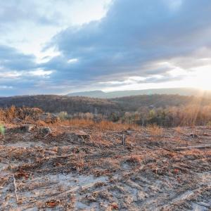 Photo #17 of TBD NEW MARKET DEPOT RD, NEW MARKET, VA 16.2 acres