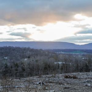 Photo #8 of TBD NEW MARKET DEPOT RD, NEW MARKET, VA 16.2 acres