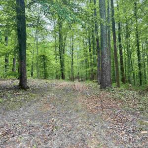 Photo #4 of TM 53A A 11 RAPIDAN WAY, BARBOURSVILLE, VA 10.4 acres