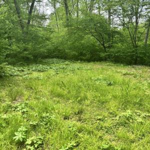 Photo #11 of TM 53A A 11 RAPIDAN WAY, BARBOURSVILLE, VA 10.4 acres