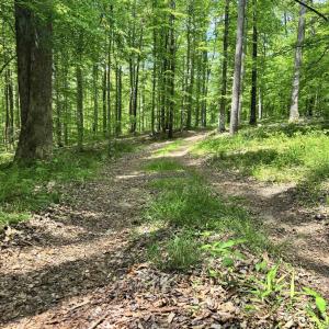 Photo #2 of TM 53A A 11 RAPIDAN WAY, BARBOURSVILLE, VA 10.4 acres
