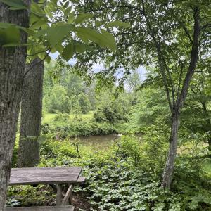 Picnic area overlooking the river