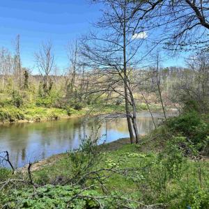 Photo #8 of TM 53A A 11 RAPIDAN WAY, BARBOURSVILLE, VA 10.4 acres