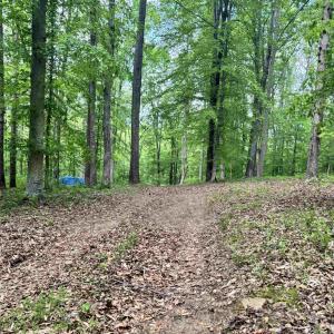 Photo #5 of TM 53A A 11 RAPIDAN WAY, BARBOURSVILLE, VA 10.4 acres