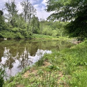 Photo #9 of TM 53A A 11 RAPIDAN WAY, BARBOURSVILLE, VA 10.4 acres