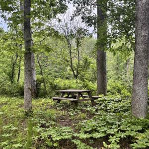 Photo #10 of TM 53A A 11 RAPIDAN WAY, BARBOURSVILLE, VA 10.4 acres