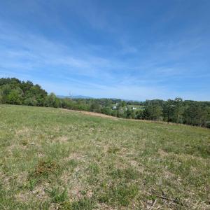 Photo #26 of Lot 4 ADVANCE MILLS RD, RUCKERSVILLE, VA 10.5 acres
