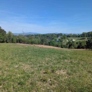 Photo #21 of Lot 4 ADVANCE MILLS RD, RUCKERSVILLE, VA 10.5 acres