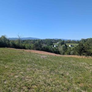 Photo #18 of Lot 4 ADVANCE MILLS RD, RUCKERSVILLE, VA 10.5 acres