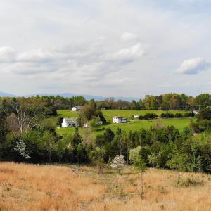 Photo #4 of Lot 4 ADVANCE MILLS RD, RUCKERSVILLE, VA 10.5 acres