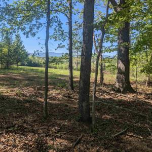 Photo #13 of Lot 4 ADVANCE MILLS RD, RUCKERSVILLE, VA 10.5 acres
