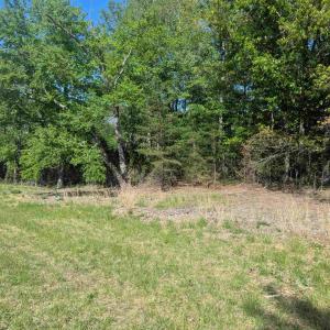 Photo #14 of Lot 4 ADVANCE MILLS RD, RUCKERSVILLE, VA 10.5 acres