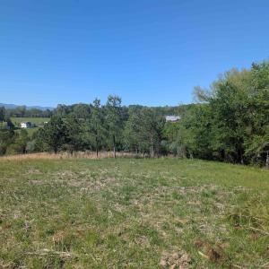 Photo #16 of Lot 4 ADVANCE MILLS RD, RUCKERSVILLE, VA 10.5 acres