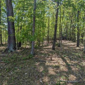 Photo #23 of Lot 4 ADVANCE MILLS RD, RUCKERSVILLE, VA 10.5 acres