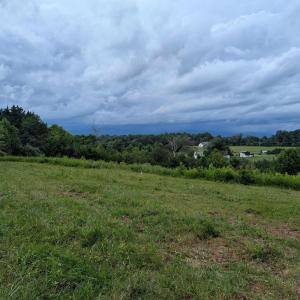 Photo #1 of Lot 4 HORIZON DR, RUCKERSVILLE, VA 10.5 acres