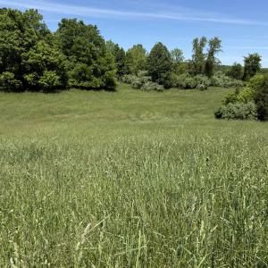 Photo #4 of TBD EARHART LN, VERONA, VA 3.2 acres
