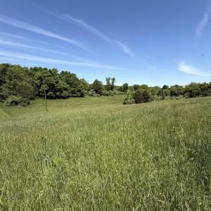 Photo #2 of TBD EARHART LN, VERONA, VA 3.2 acres