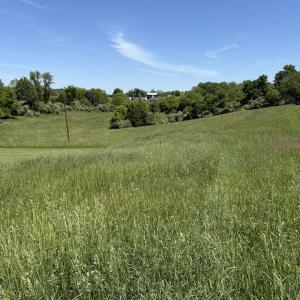 Photo #1 of TBD EARHART LN, VERONA, VA 3.2 acres