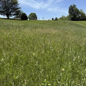 Photo #3 of TBD EARHART LN, VERONA, VA 3.2 acres
