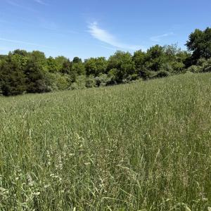 Photo #5 of TBD EARHART LN, VERONA, VA 3.2 acres