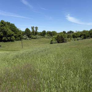 Photo #6 of TBD EARHART LN, VERONA, VA 3.2 acres