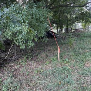 Photo #13 of TBD EARHART LN, VERONA, VA 3.2 acres