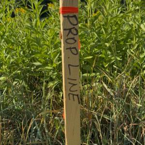 Photo #4 of TBD EARHART LN, VERONA, VA 3.2 acres