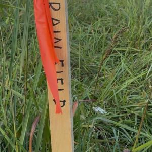 Photo #5 of TBD EARHART LN, VERONA, VA 3.2 acres