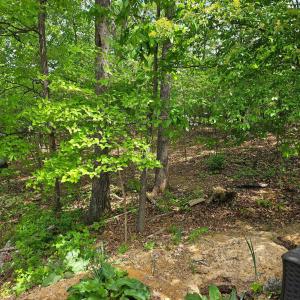Photo #4 of RIDGE VIEW LN, ELKTON, VA 164.0 acres