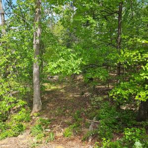 Photo #1 of RIDGE VIEW LN, ELKTON, VA 164.0 acres