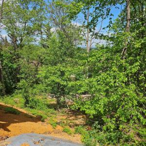 Photo #2 of RIDGE VIEW LN, ELKTON, VA 164.0 acres