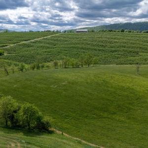 Photo #23 of TBD VETTERS RD, TIMBERVILLE, VA 5.0 acres