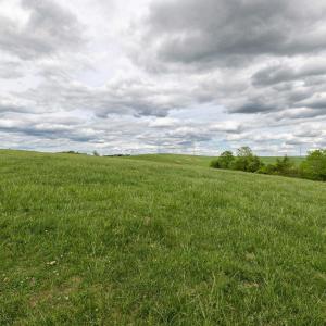 Photo #66 of TBD VETTERS RD, TIMBERVILLE, VA 5.0 acres
