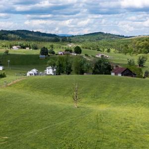 Photo #35 of TBD VETTERS RD, TIMBERVILLE, VA 5.0 acres