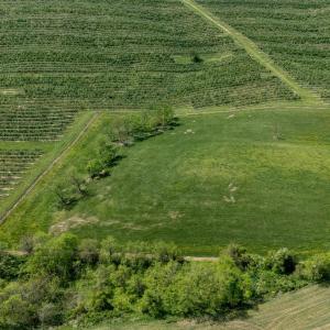 Photo #10 of TBD VETTERS RD, TIMBERVILLE, VA 5.0 acres