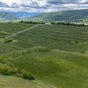 Photo #22 of TBD VETTERS RD, TIMBERVILLE, VA 5.0 acres