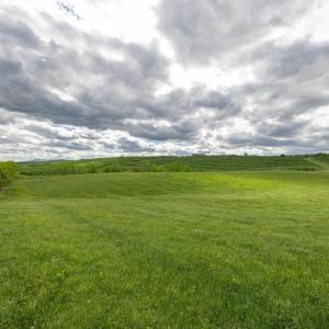 Photo #75 of TBD VETTERS RD, TIMBERVILLE, VA 5.0 acres