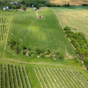 Photo #3 of TBD VETTERS RD, TIMBERVILLE, VA 5.0 acres