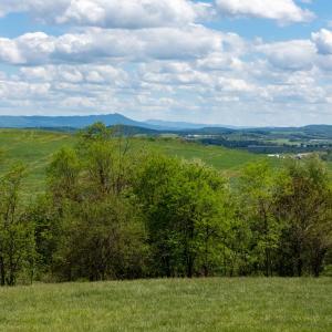 Photo #43 of TBD VETTERS RD, TIMBERVILLE, VA 5.0 acres